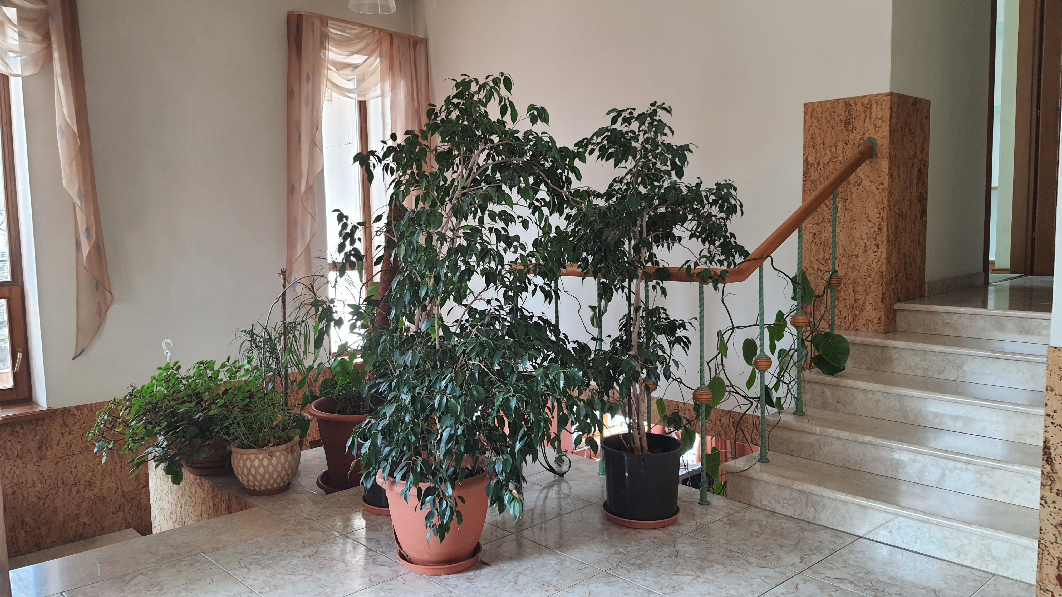 Продам двухэтажный дом по ул. Бернардацци (Красных зорь) ID 47529 (Фото 9)