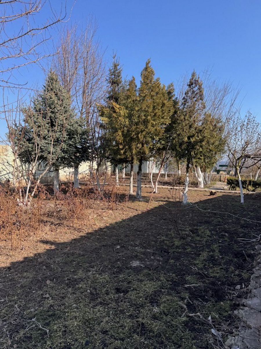 Продажа участка, первая линия моря, 20 соток ID 54121 (Фото 3)