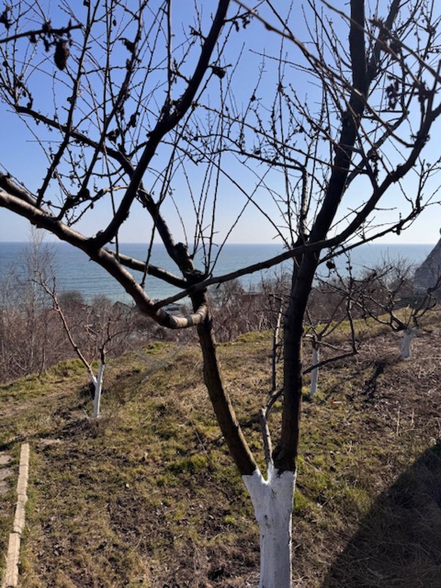 Продажа участка, первая линия моря, 20 соток ID 54121 (Фото 2)