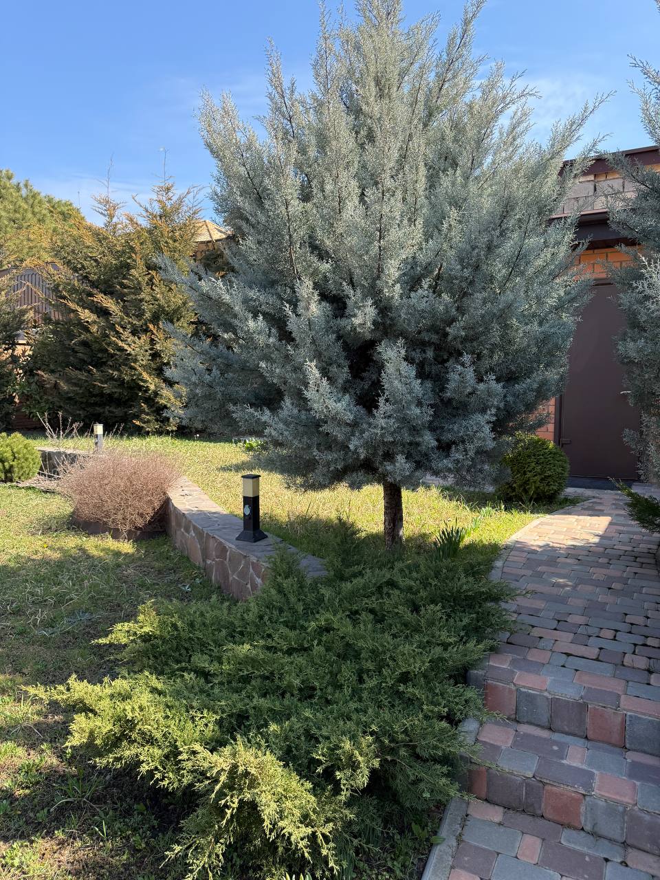 В продаже дом в ЖМ Совиньоне/Люстдорф 550 м кв ID 53101 (Фото 17)